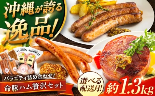 【2026年3月発送】 『ハム贅沢セット』 豚肉 ポークステーキ ソーセージ ハム 詰め合わせ お取り寄せ 国産 ギフト 冷凍 沖縄市 / DELICATESSEN NUCHIBUTA[BCAR007-3]