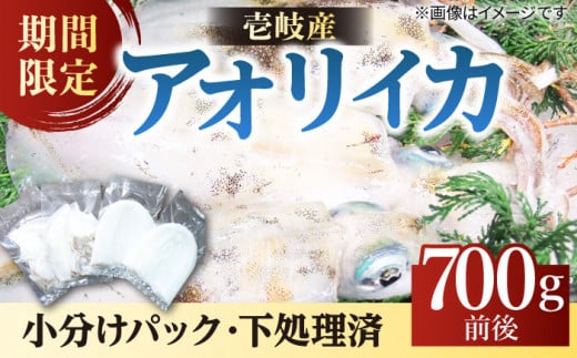 アオリイカ（処理済み） 700g前後 《壱岐市》【ヤマグチ】[JCG018] いか イカ アオリイカ 水イカ 刺身 お刺身 刺し身 ゲソ 魚介 海産物 海鮮 天然 冷凍 いかめし 16000 1600