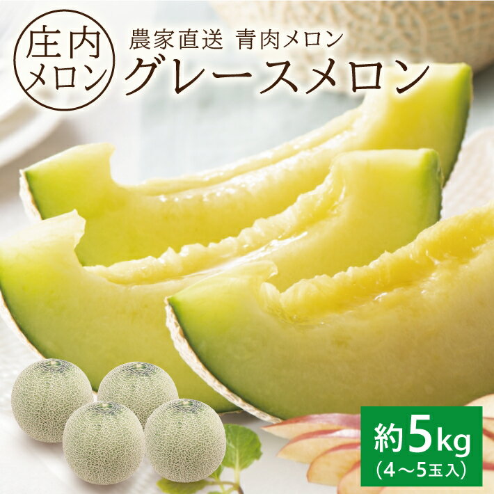 【ふるさと納税】庄内特産 青肉メロン グレース 約5kg 4〜5玉入り 6月下旬〜7月中旬頃お届け ※着日指定不可 青肉メロン 緑 果物 フルーツ 東北 山形県 酒田市 庄内 農家直送 産地直送 旬 夏