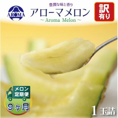 【ふるさと納税】【毎月定期便】【訳あり】クラウンメロン 1玉　全9回【配送不可地域：離島・北海道・沖縄県】【4071999】