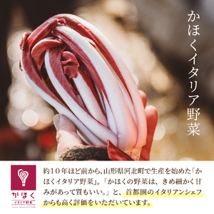 定期便 4回 季節のイタリア野菜 野菜 セット 定期便 野菜
