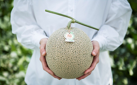 【2026年7月上旬より順次発送】ふらのメロン「陽 ～HARU～」大玉(2.3kg以上)×1玉 ( 赤肉 )( くりす農園 )