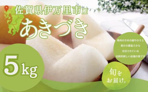 
            堀田農園 梨「あきづき」5kg（8月下旬から出荷）
          