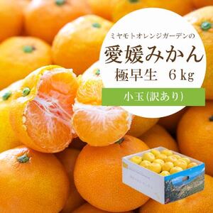 シーズン一番採り!極早生みかん 小玉6kg【訳あり】【C25-47】【1248092】 YWTAP030