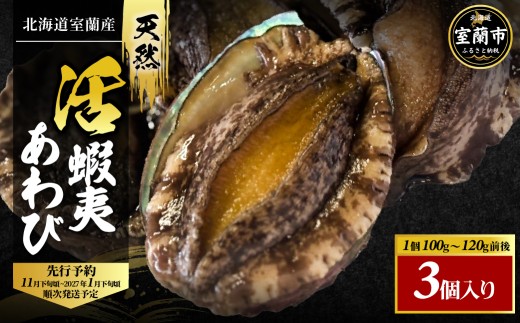 北海道室蘭産 天然活蝦夷あわび 3個入（1個100g～120g前後）2026年11月下旬頃～2027年1月下旬頃順次発送 【 ふるさと納税 人気 おすすめ ランキング ホタテ あわび アワビ 鮑 蝦夷あわび 蝦夷アワビ 海鮮 新鮮 北海道産 北海道 室蘭市 送料無料 】 MROH010