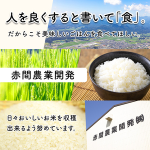 【令和8年産】＜先行予約受付中！R8年9月上旬から発送開始予定＞＜3か月定期便＞ 五百川 合計30kg (10kg×3回) お米 おこめ 米 コメ 白米 早場米 極早生品種 ご飯 ごはん おにぎり お