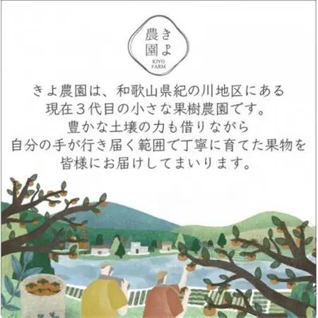 先行受付　柿(種無し)　赤秀品大玉　6個入　約1.8kg【配送不可地域：離島】【1616656】