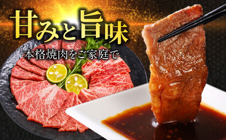 【飛騨牛】赤身・霜降りMIX 切落し焼肉(モモ・カタ・バラ)500g 焼肉丼 カルビ ロース 岐阜市/丸福商店[ANBO024]