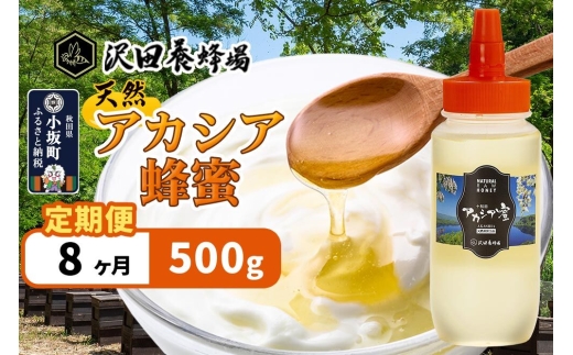 《定期便8ヶ月》はちみつ 天然十和田 アカシア蜂蜜 500g [はちみつ 蜂蜜 ハチミツ アカシア 定期便 国産 朝食 沢田養蜂場]