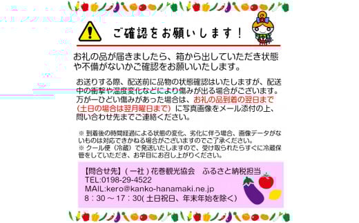 賢治の豊作　花巻産旬野菜セット 【380】