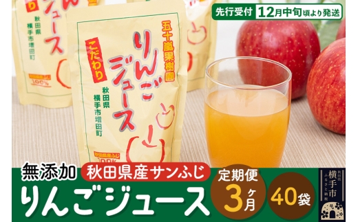 《定期便3ヶ月》 無添加りんごジュース（サンふじ）40パック