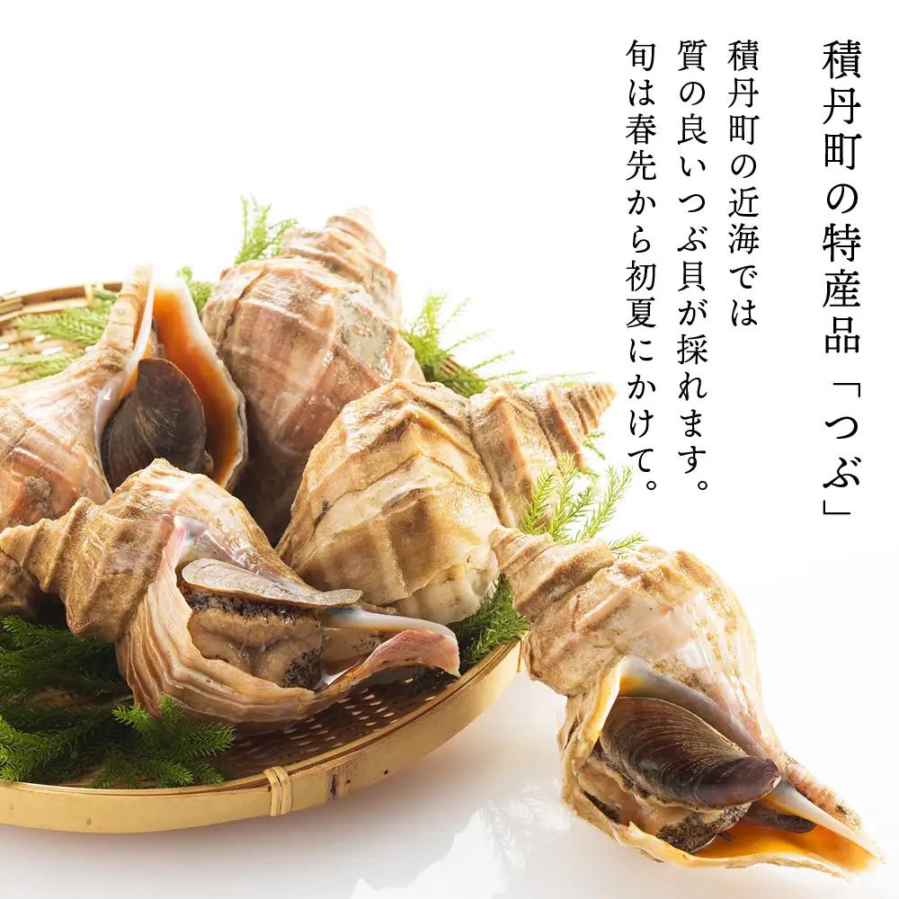 【9月30日受付終了】積丹 老舗手作りシリーズ "つぶ塩辛”160g×8個セット おつまみ 晩酌 ご飯のおとも