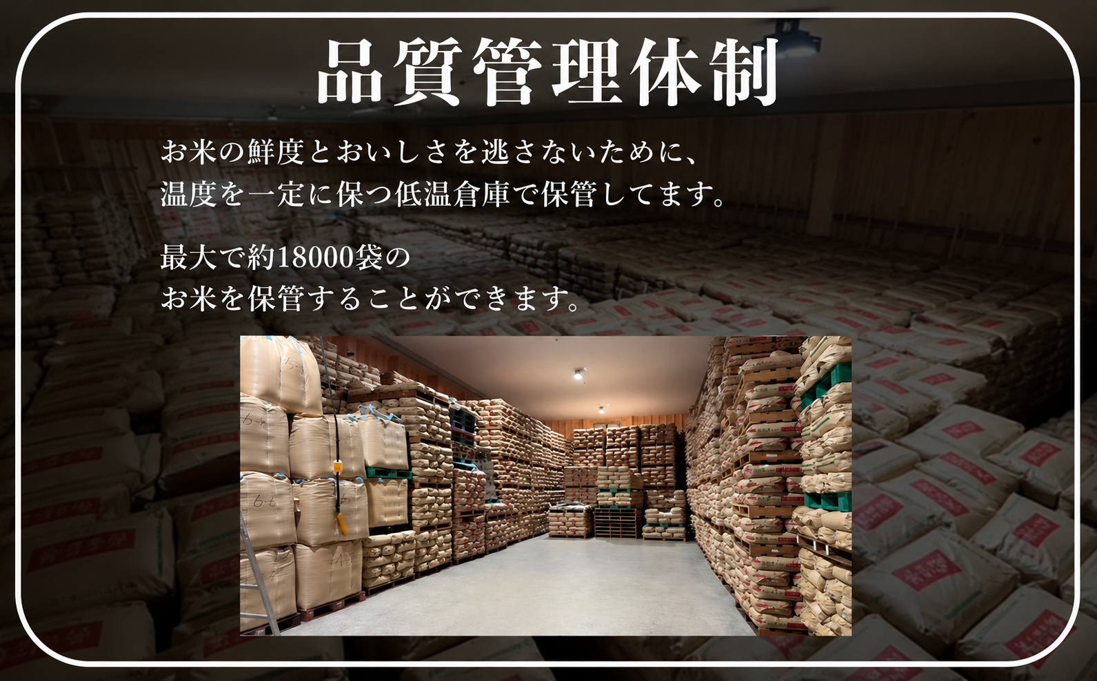 令和8年産 魚沼産コシヒカリ 特別栽培米 津南町認証米 10kg(5kg×2袋) 129404-019