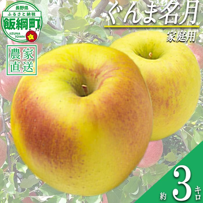 【ふるさと納税】 りんご ぐんま名月 家庭用 3kg 永野農園 沖縄県への配送不可 令和8年度収穫分 長野県 飯綱町 〔 信州 果物 フルーツ リンゴ 林檎 長野 予約 農家直送 11000円 〕発送時期：2026年11月上旬〜2026年11月下旬