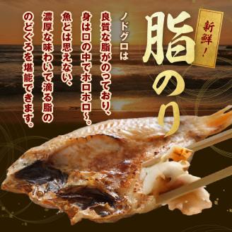 のどぐろ干物（超特大240g 26cm前後 4枚）のどぐろ本来の旨味に出会う渾身の干物 河野乾魚店 魚 干物 干もの ひもの 乾物 のどぐろ 一夜干し 個包装 冷凍 産地直送 【7】