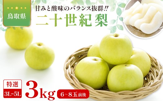 
                  二十世紀梨　特選3kg
                