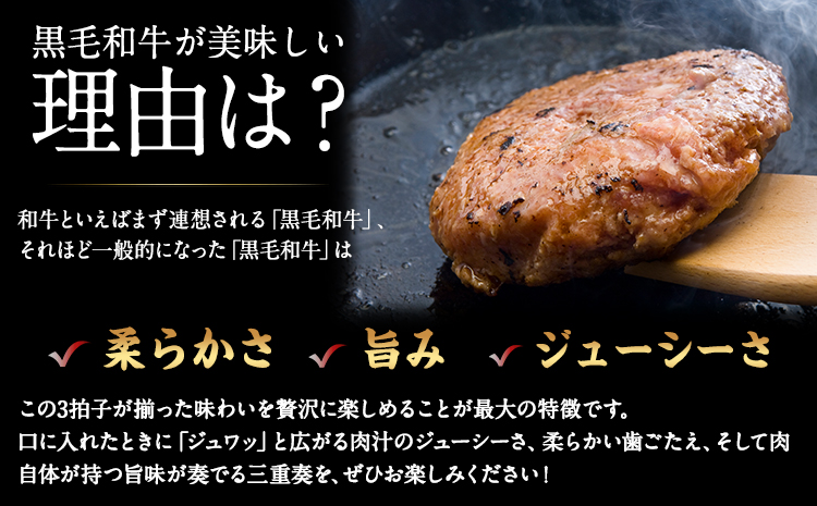 黒毛和牛ハンバーグ150g×10個 絶品 ブランド牛 黒毛和種 有限会社トップルーフ《60日以内に出荷予定(土日祝除く)》