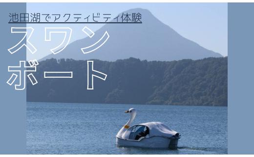 
【池田湖でアクティビティ体験】スワンボート 60分間1台レンタル(えぷろんはうす池田/A-179)
