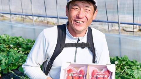 【 2024年1月上旬発送開始 】 完熟 とちおとめ 約280g×2P 国産 いちご イチゴ 苺 [BC025sa]