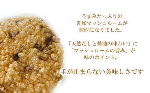 八幡平マッシュルームおこげ＆八幡平ホワイトマッシュDRYの詰合せ ／ ジオファーム八幡平 ドライ 八幡平市