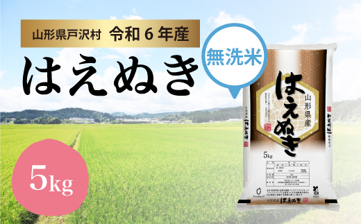 ＜令和6年産米受付　配送時期指定可＞　はえぬき 【無洗米】 5kg （5kg×1袋） 戸沢村