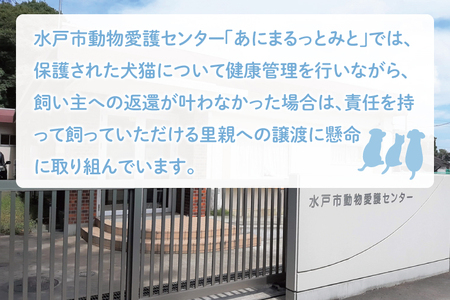 【返礼品なし】水戸市 動物愛護寄附金『人と動物がしあわせに暮らせるまちづくり』300000円【動物愛護 愛護活動 保護 犬 猫 いぬ ねこ イヌ ネコ 動物 ペット 応援 支援 水戸市どうぶつ愛護セン