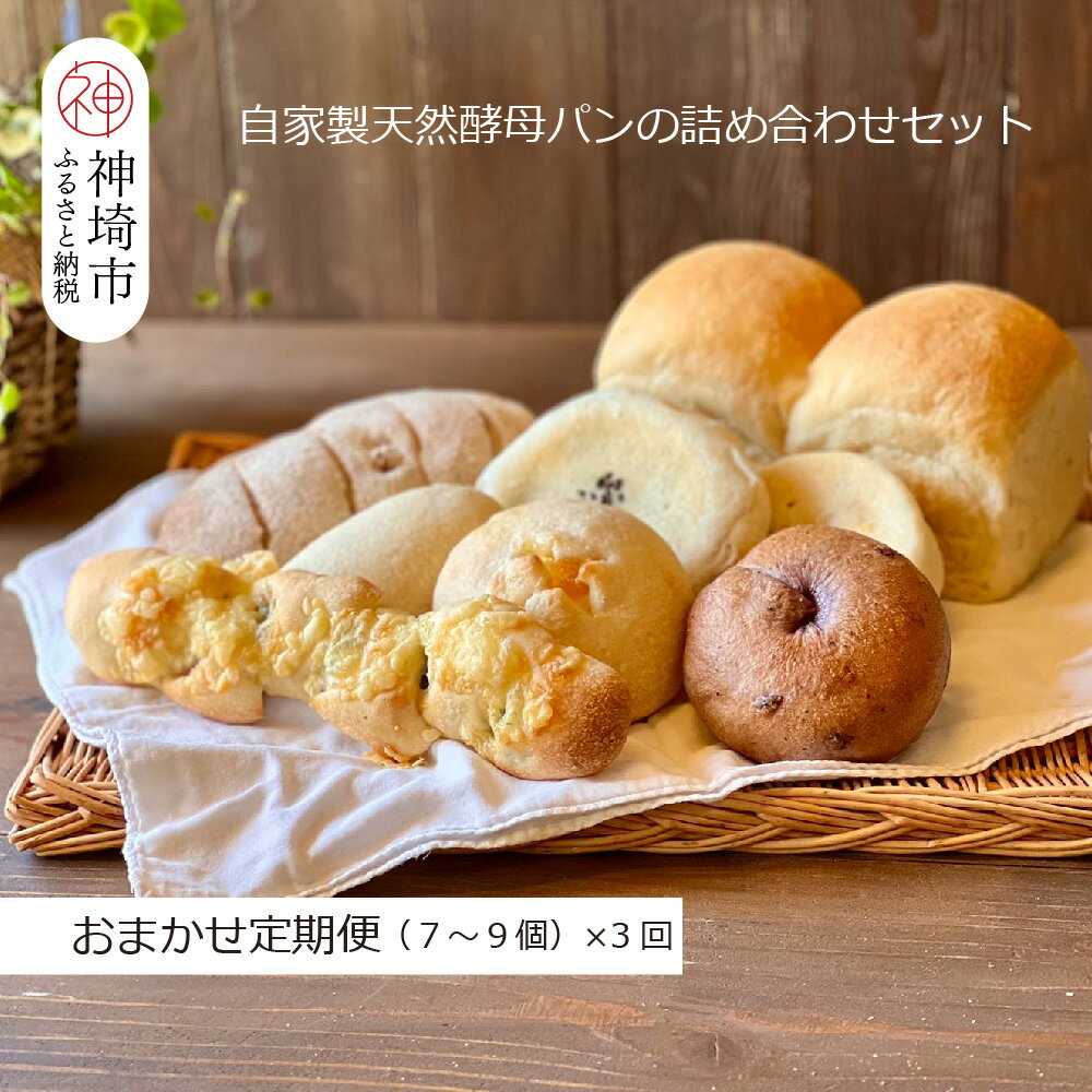 【ふるさと納税】【定期便3回】自家製天然酵母パンの詰め合わせセット【パンと器のコネル】【パンと器のコネル 全粒粉 もっちりベーグル 国産小麦 パン 自家製 天然酵母 玄米麹 朝食 おやつ】(H094117)