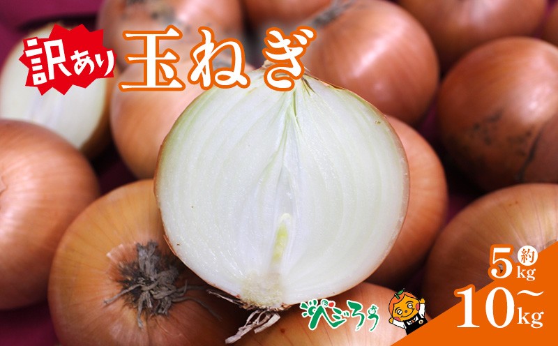 
                  【選べる】 訳あり 玉ねぎ 5kg から 10kg 新玉ねぎ / もみじたまねぎ | たまねぎ タマネギ 玉ねぎ 新玉 新物 もみじ たまねぎ 新たまねぎ 新玉葱 もみじ玉ねぎ 野菜 常備野菜 食べ物 愛媛県 松山市
                