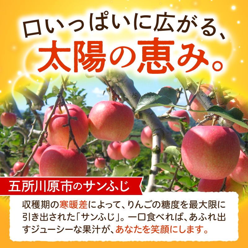 【2027年1月下旬発送】【訳あり】りんご 約10kg サンふじ 青森産