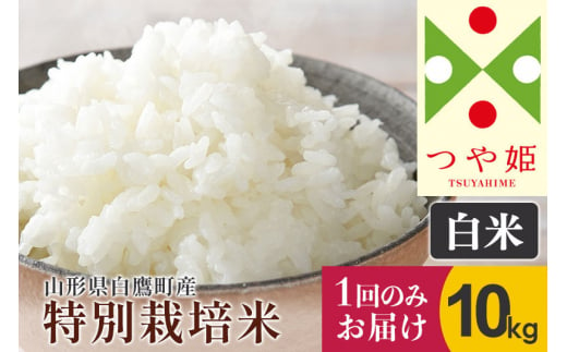 【白米】つや姫 10kg（特別栽培米）令和5年産 山形県産 しらたかのお米