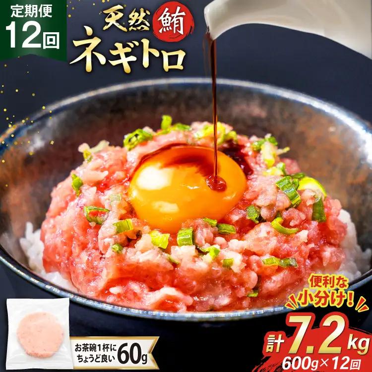 【ネギトロ】12回 定期便 天然 マグロ ネギトロ まぐろたたき 60g 10個 計600g