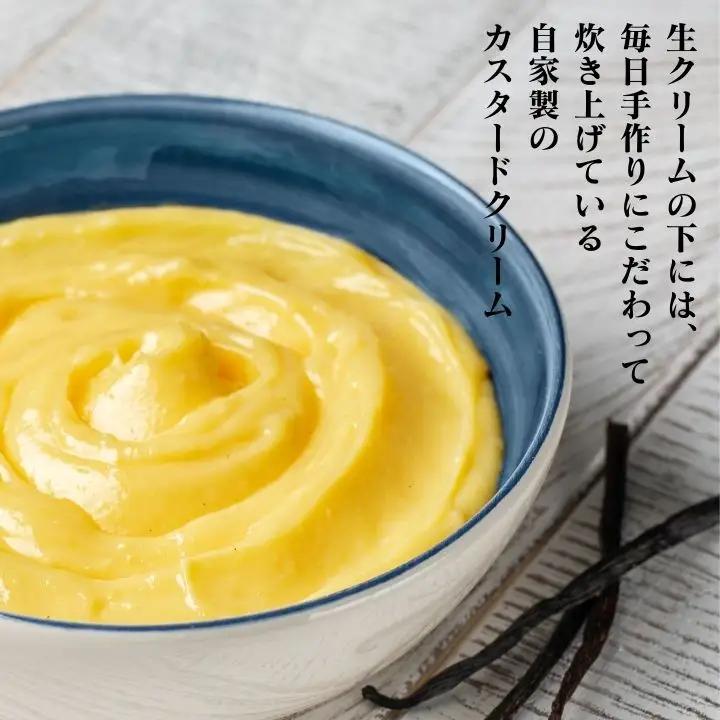 生シュークリームと生チョコシュークリーム10個入り【南屋菓子店 cake house Le Ms】