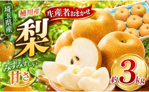 梨 【先行予約】桶川産の梨 3kg 6玉～9玉 | 幸水 豊水 彩玉 新高 あきづき 和梨 日本梨 フルーツ 果物 旬の果物  先行予約 8月中旬～9月下旬発送 生産者おまかせ 旬の梨 みずみずしい 詰め合わせ 贈答 プレゼント ギフト 家庭用 甘い 常温便 人気 産地直送 農家直送 2026年発送 桶川市梨出荷組合 埼玉県 桶川市