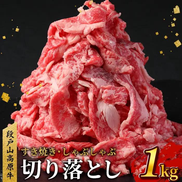 2027年2月発送★国産牛 段戸山高原牛 切り落とし 1kg （200ｇ×5）酒粕育ち 幻の牛 牛肉 牛 肉じゃが 蓬莱泉 牛丼 -070