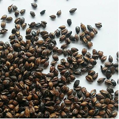 ふるさと納税 藤枝市 玉ちゃん丸粒麦茶1kg入り×10袋 |  | 01