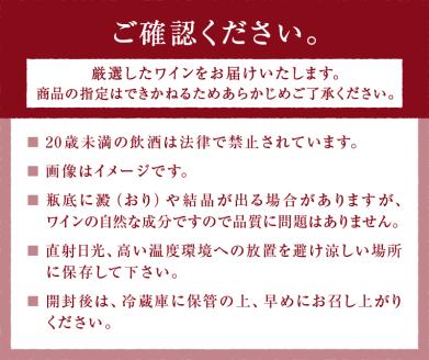 勝沼ぶどうの丘推奨一升瓶ワイン 2本セット（KBO）C-650