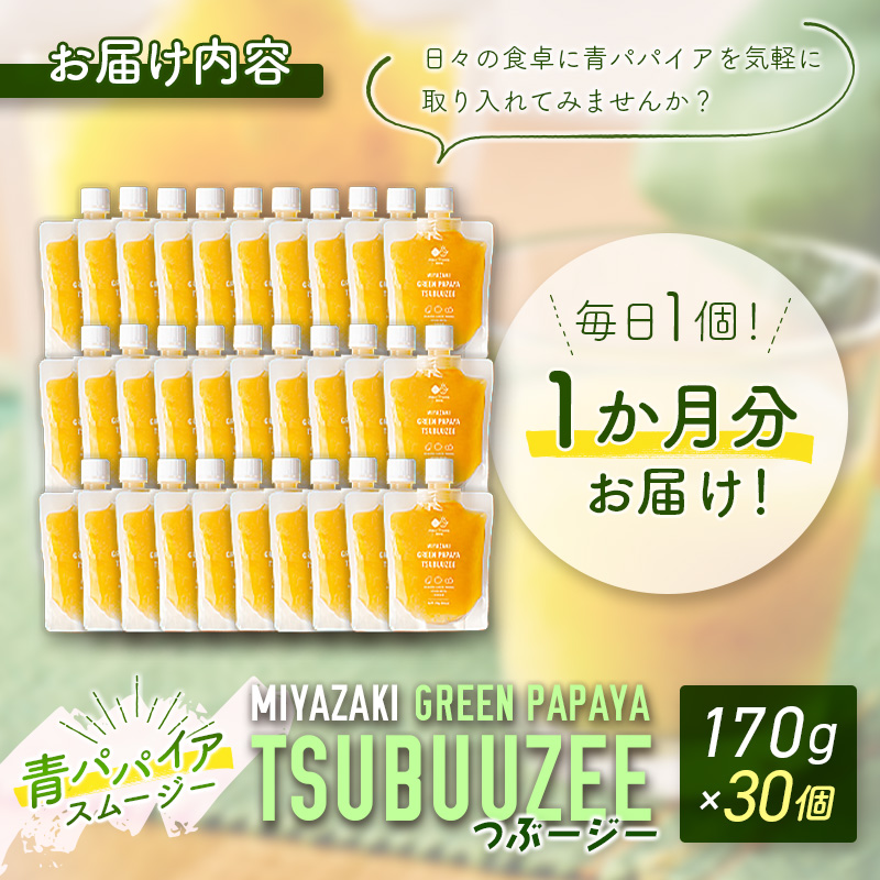 青パパイアスムージー 30個入 MIYAZAKI GREEN PAPAYA TSUBUUZEE ～青パパイアの粒々とフレッシュな柑橘の味わい～【E171】_イメージ5