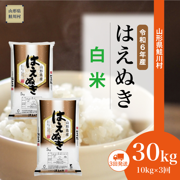 ＜令和6年産米 配送時期指定できます！＞　はえぬき【白米】30kg定期便 (10kg×3回)　鮭川村