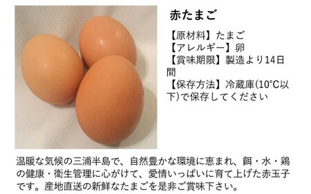 【先行予約】餌にこだわった三浦半島産赤たまご　20個　【横須賀商工会議所　おもてなしギフト事務局（岩沢ポートリー）】[AKET003]