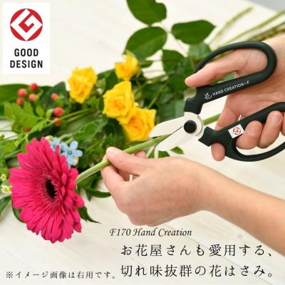 ふるさと納税 三条市 生花はさみ ハンドクリエーションF170左用 ウォームグレー 花鋏 [坂源] 【010S719】 |  | 01