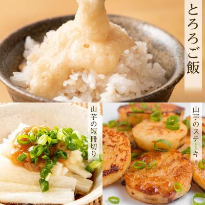 ふるさと納税 角田市 【先行予約】宮城県角田市産ながいも約4kg(3〜5本)【2025年11月下旬〜順次発送】 |  | 03