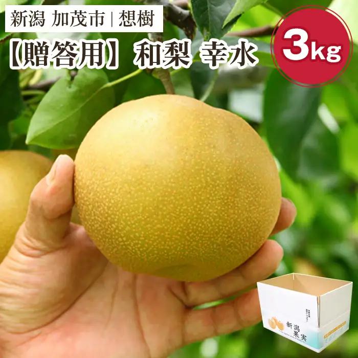 【2026年先行予約】【贈答用】新潟県産和梨 幸水 約3㎏（5～9玉）《8月下旬～順次出荷》 梨 なし ナシ 幸水 こうすい