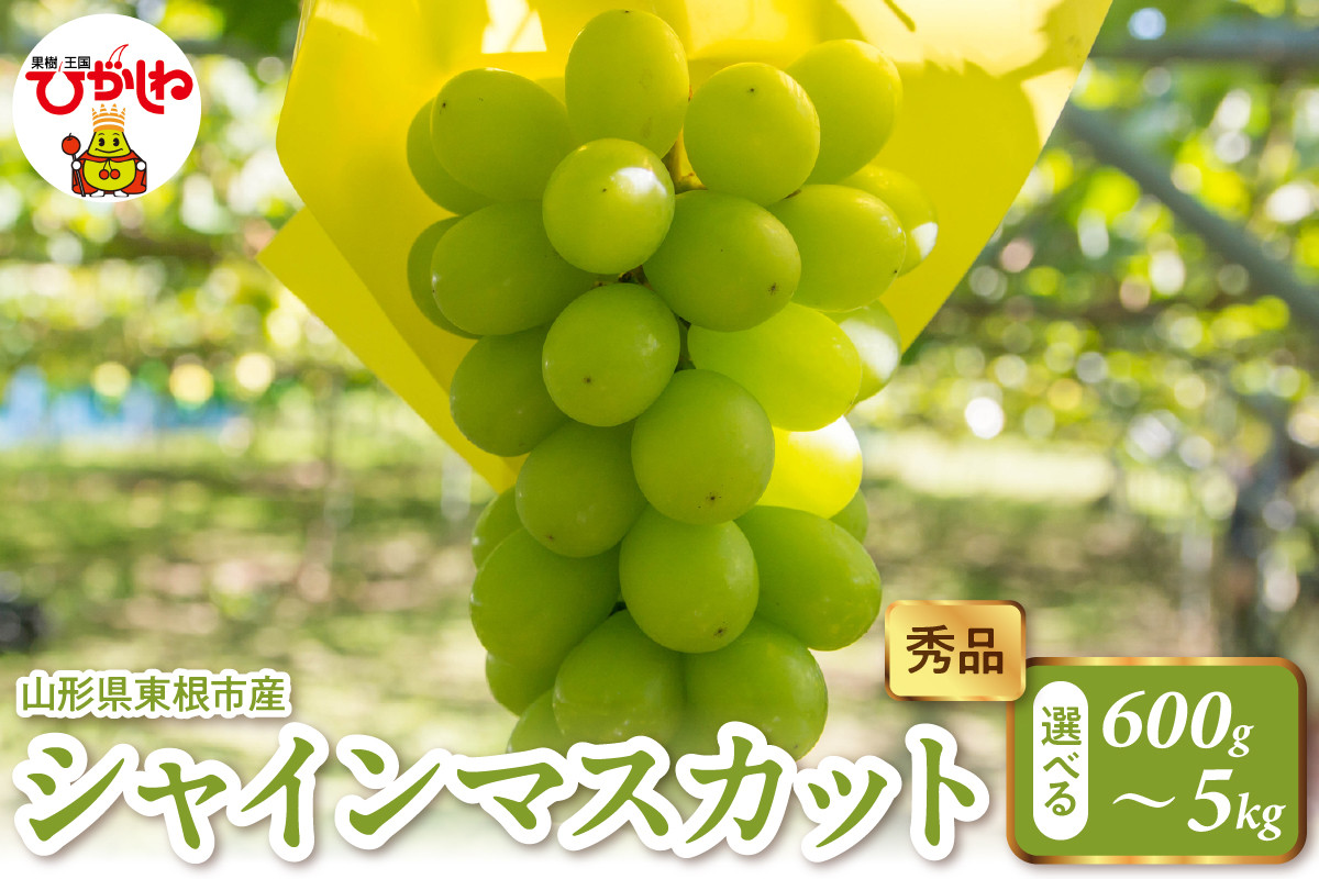 
            【選べる内容量】2025年産 シャインマスカット （600g 1.2kg 2kg 5kg ） 秀品 山形県 東根市　hi082-023
          