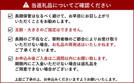 ユーレカ レモン 約5kg 【清水果樹園】【2024年9月下旬から11月下旬発送予定】