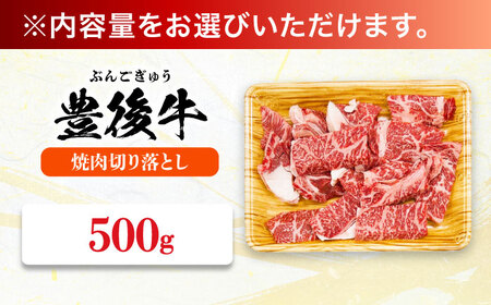 焼肉 切り落とし 500g / 切り落とし 焼肉 豊後牛 切り落とし 切り落とし / MEAT PLUS[AREI032]