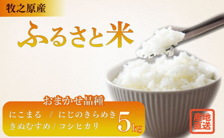 【R７新米】お米 5kg 品種 おまかせ 【 にこまる にじのきらめき きぬむすめ コシヒカリ 】牧之原市