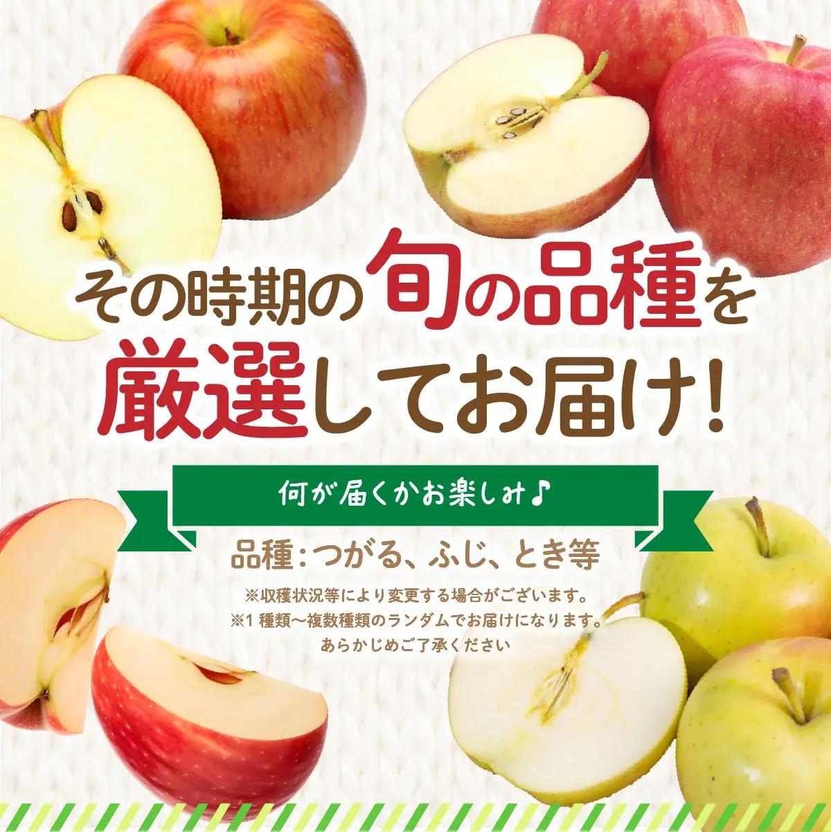 【先行予約】令和8年8月下旬頃より発送 北海道七飯町産 りんご 5kg 有機質肥料使用 NAR002