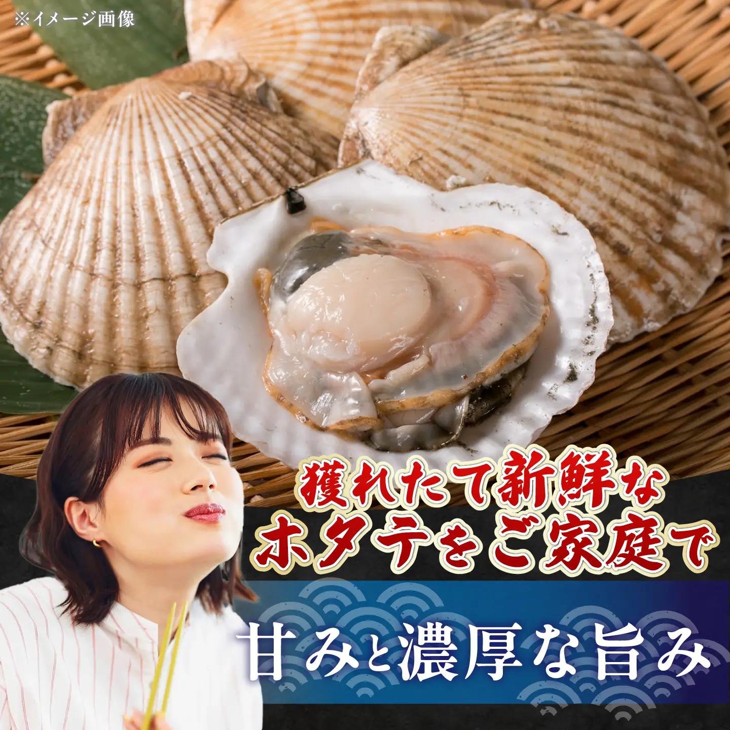 【数量限定】半殻つき 冷凍ホタテ 2袋【鵡川漁業協同組合】帆立 ほたて 北海道 [AXAL001]