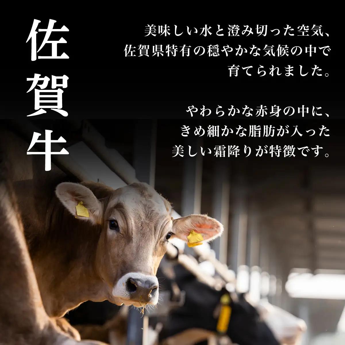 ＜定期便12回＞佐賀牛切り落とし 計6kg (500g×12回)