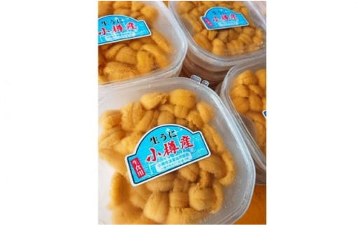 北海道小樽市 塩水キタムラサキウニ 100g×6パック 合計600g 【漁師直送】